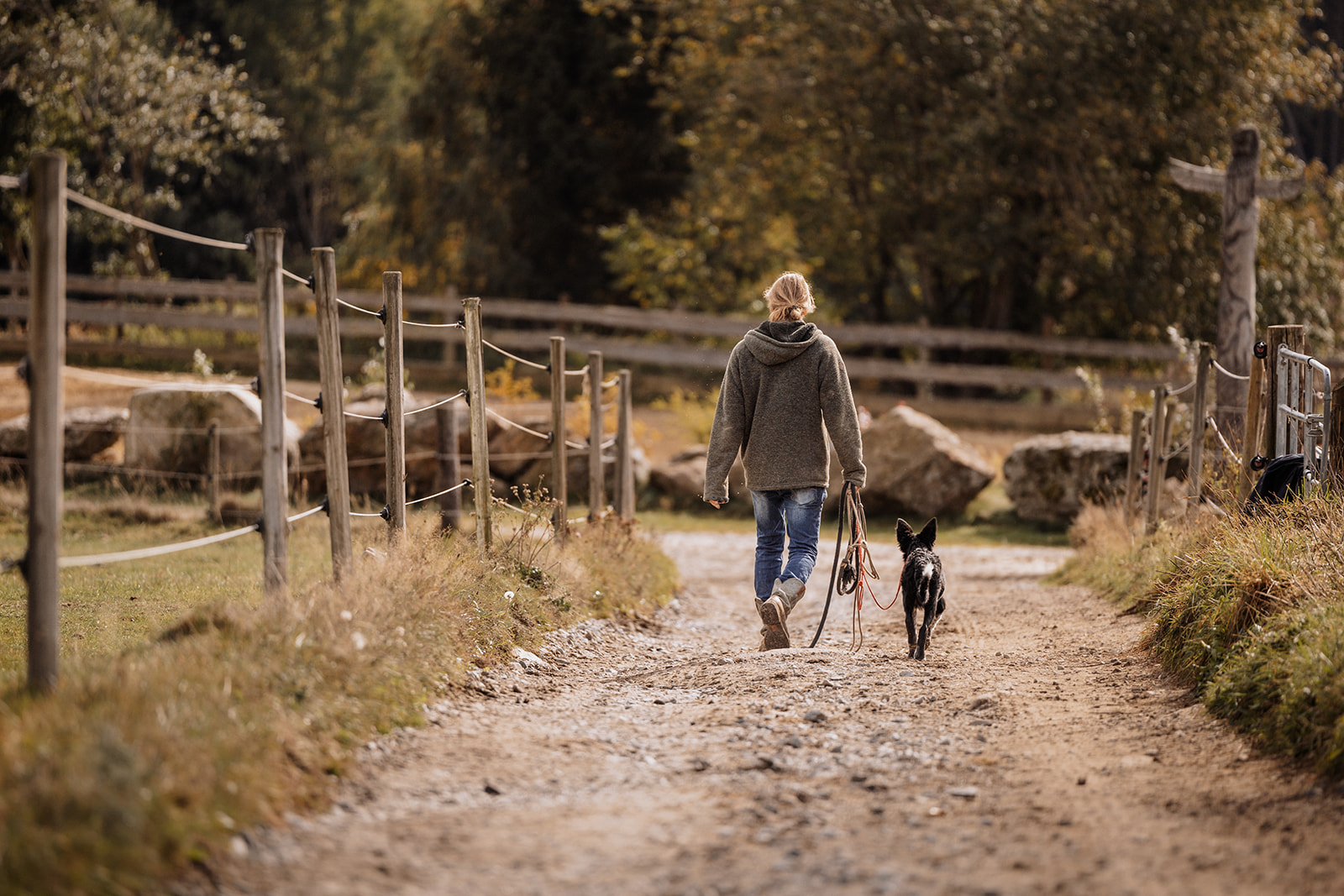 Urlaub mit Hund